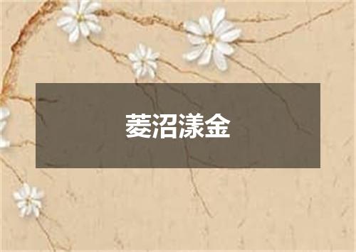 菱沼漾金