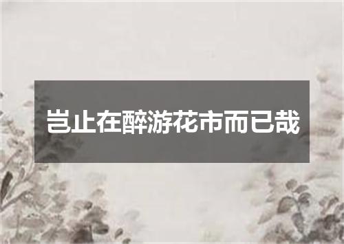 岂止在醉游花市而已哉