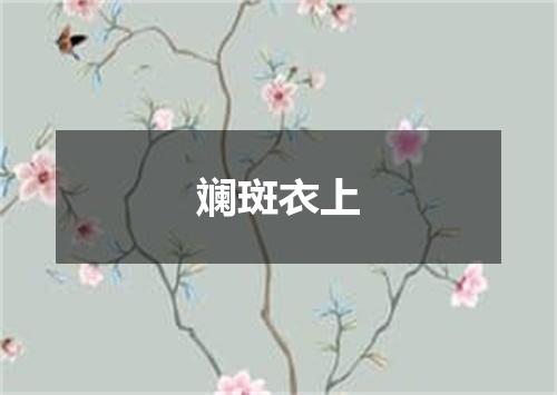 斓斑衣上