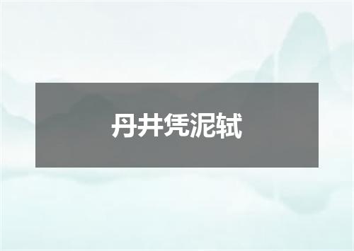丹井凭泥轼