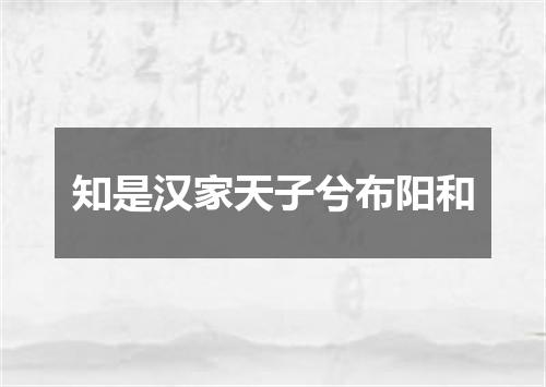 知是汉家天子兮布阳和