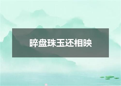 晬盘珠玉还相映