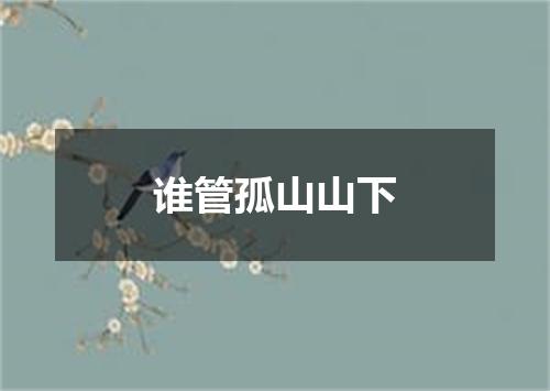 谁管孤山山下