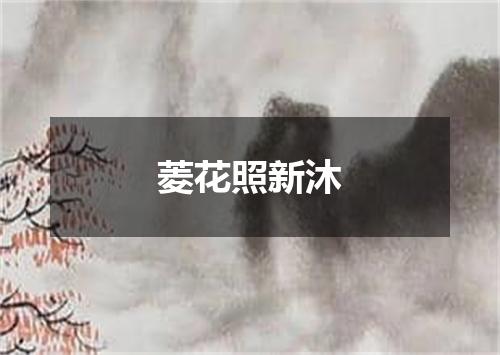 菱花照新沐