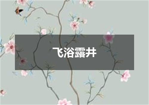 飞浴露井