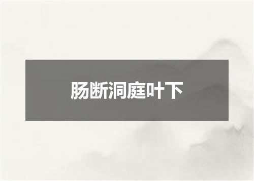 肠断洞庭叶下