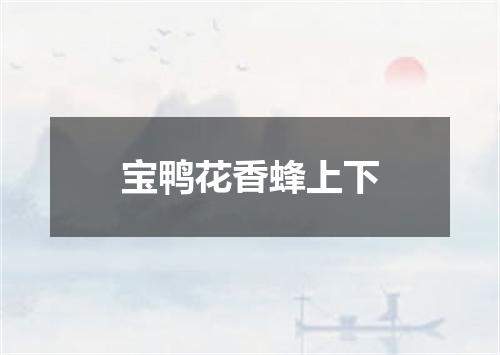 宝鸭花香蜂上下