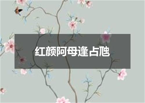 红颜阿母逢占虺