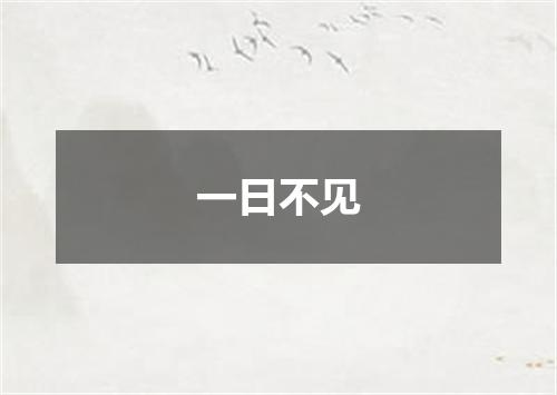 一日不见