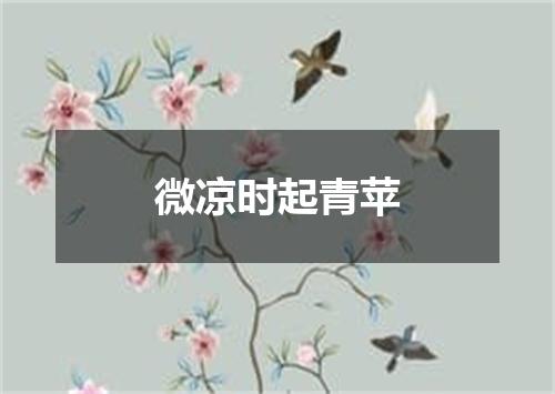 微凉时起青苹