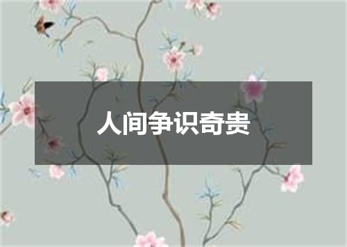 人间争识奇贵