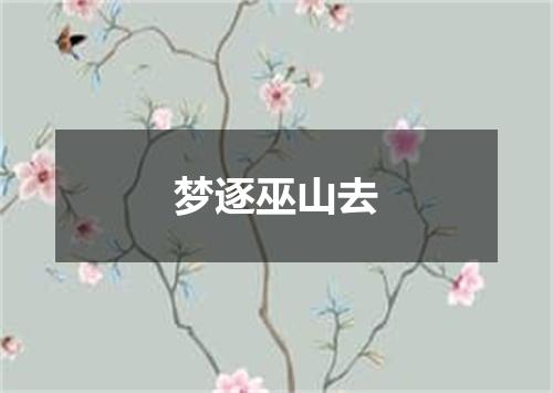 梦逐巫山去