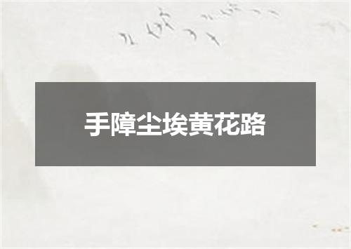 手障尘埃黄花路