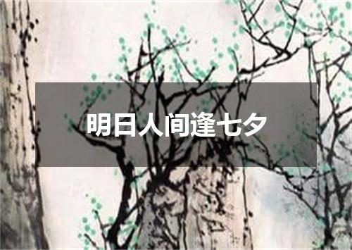 明日人间逢七夕