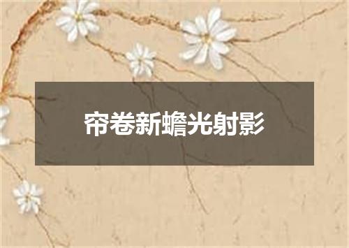 帘卷新蟾光射影