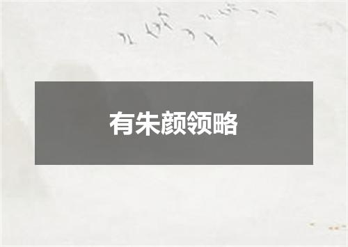 有朱颜领略
