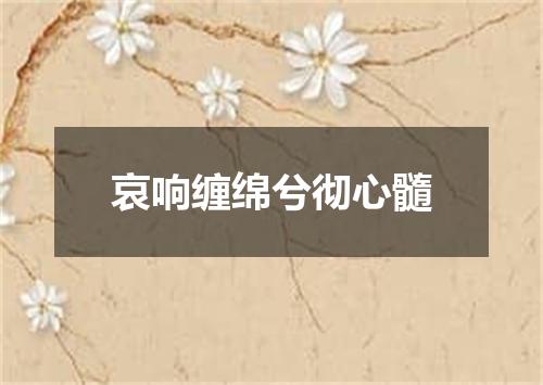 哀响缠绵兮彻心髓