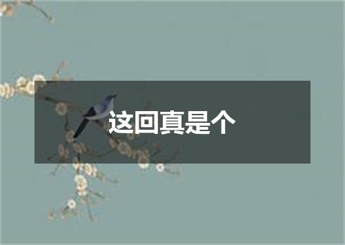 这回真是个