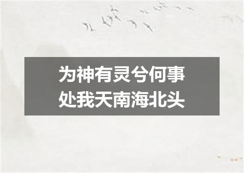 为神有灵兮何事处我天南海北头