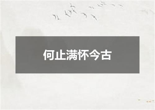 何止满怀今古
