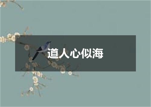 道人心似海
