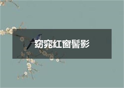 窈窕红窗髻影
