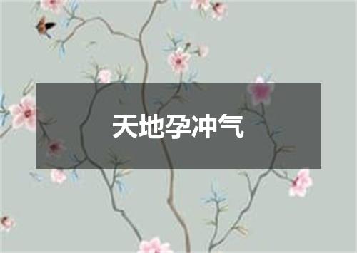 天地孕冲气