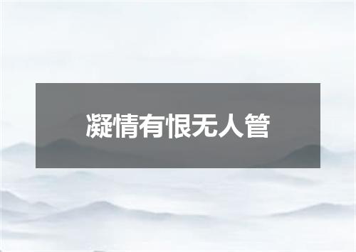 凝情有恨无人管