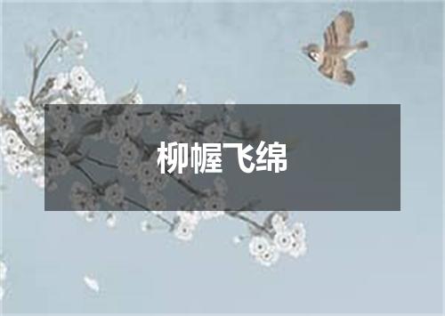 柳幄飞绵