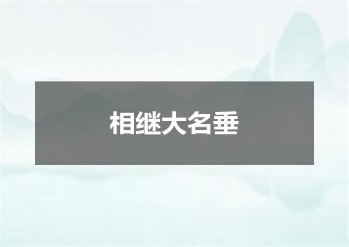 相继大名垂