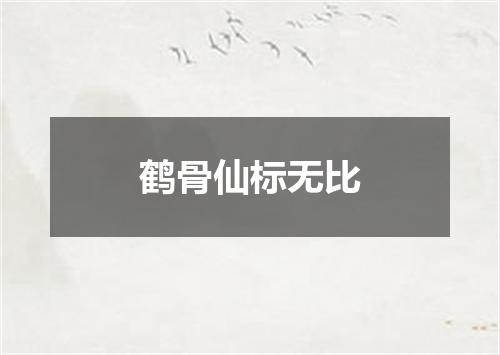 鹤骨仙标无比