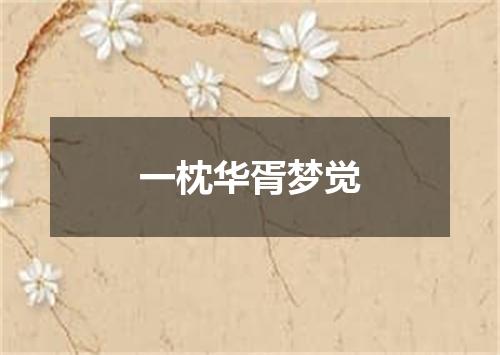 一枕华胥梦觉