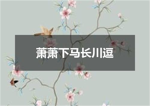 萧萧下马长川逗