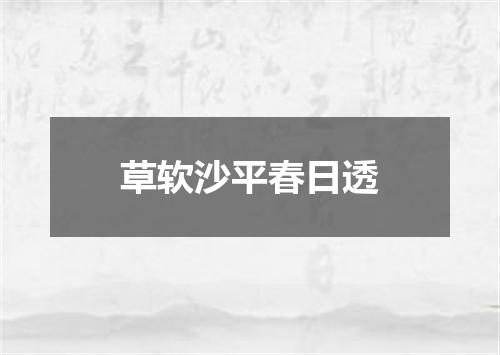 草软沙平春日透