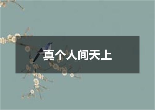 真个人间天上