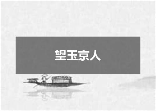 望玉京人