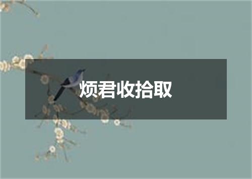 烦君收拾取