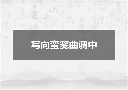 写向蛮笺曲调中