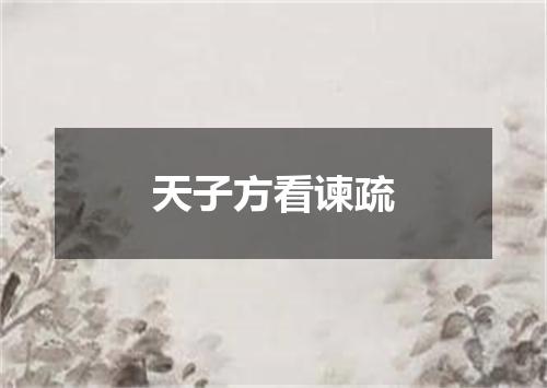 天子方看谏疏