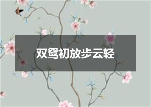 双鸳初放步云轻