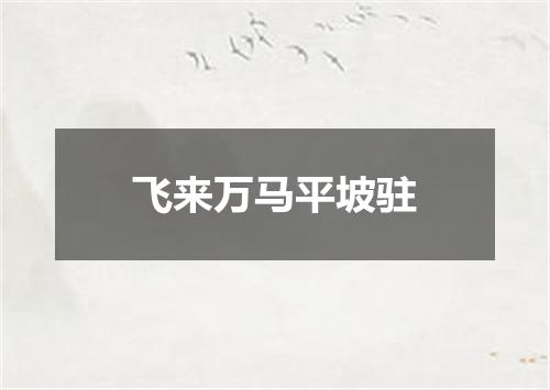 飞来万马平坡驻