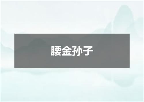 腰金孙子