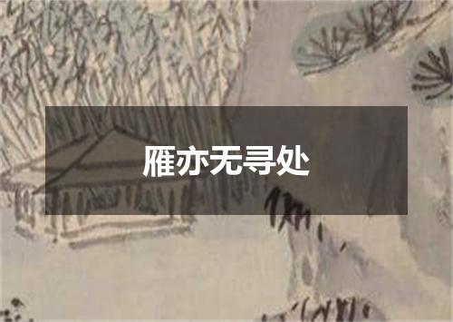 雁亦无寻处