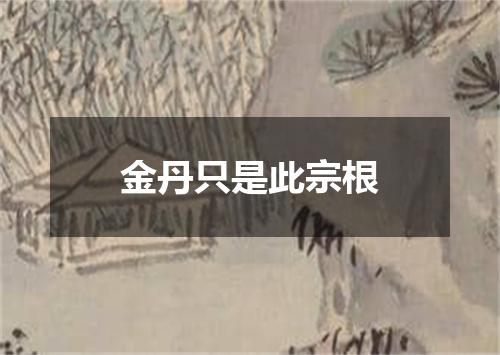 金丹只是此宗根
