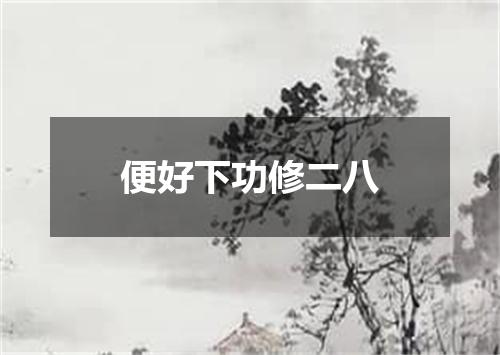 便好下功修二八