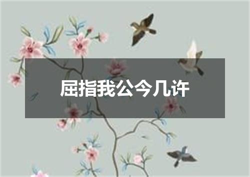 屈指我公今几许