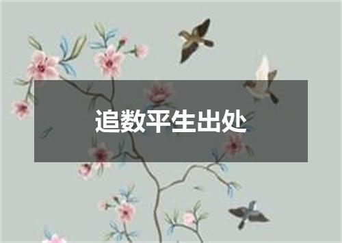 追数平生出处