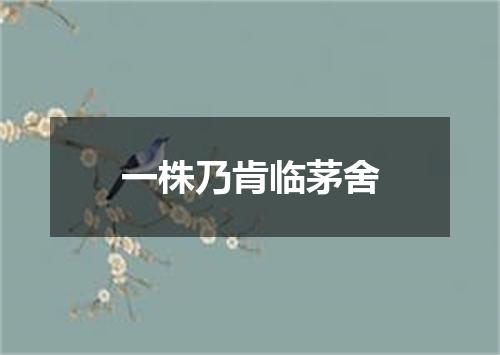 一株乃肯临茅舍