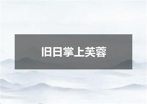 旧日掌上芙蓉