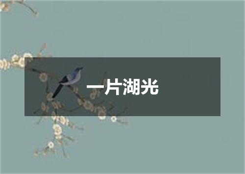 一片湖光